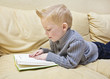 Cute boy reading a book on the couch