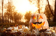Funny Halloween pumpkin in the forest