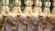 Processing of chicken semis