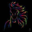 Vector image of an horse on black background