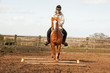 Trotting poles