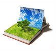 book with tree