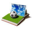 Illustration: football ball in book football ball in book