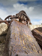 Rusted details