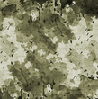 Camouflage military background
