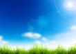 grass