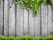 Photo: grass grass