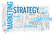 Vector: MARKETING STRATEGY Tag Cloud (advertising business competition) MARKETING STRATEGY Tag Cloud (advertising business competition)