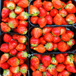 Photo: Freshly Picked Strawberries Freshly Picked Strawberries