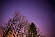 Foto: Midnight Universe Midnight Universe