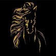 Vector image of an horse on black background