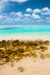 the tropical sea with blue water, Maldives