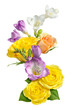 Roses & Freesia isolated