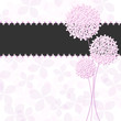 Vektor: Springtime Pink Purple Hydrangea Flower Greeting Card Springtime Pink Purple Hydrangea Flower Greeting Card