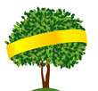 Baum