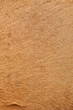 camel's skin