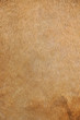 camel's skin