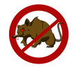 No big rats