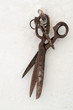 Rusty grunge retro scissors