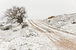 Camino rural en invierno