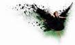 Woman floating   on dark wings