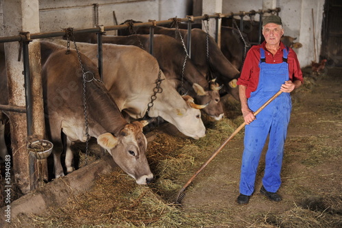 Photo: Farmer is working on a organic farm with cows Farmer is working on a organic farm with cows
