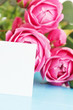 pink roses