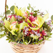 beautiful flowers