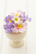spring flowers