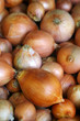 Onions