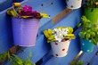 Flower Baskets