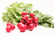Fresh radish on white background