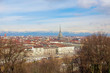 Turin view