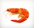 Shrimp