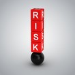 Risk