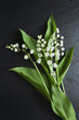 Brin de Muguet