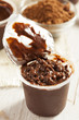 Photo: Chocolate Snack Pack Pudding Cup Chocolate Snack Pack Pudding Cup