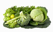 Composition with fresh vegetables of broccoli on a white
