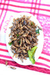 insects Fry