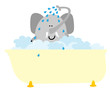Vector: Baden Baden