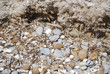 Sassi in spiaggia