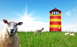 ostfriesische Idylle