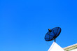 Satellite dish