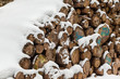 Holzpolter im Winter verschneit