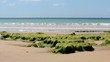 Waves in Atlantic coast of St.Eulalia beach, Algarve. Portugal
