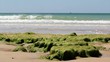 Waves in Atlantic coast of St.Eulalia beach, Algarve. Portugal