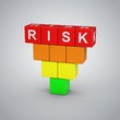 Risk