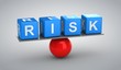 Risk