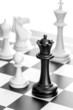 Chess queen