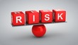 Risk